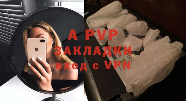 амф Богданович