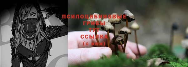 apvp Беломорск