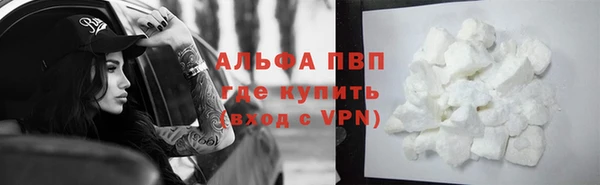 PSILOCYBIN Заволжск