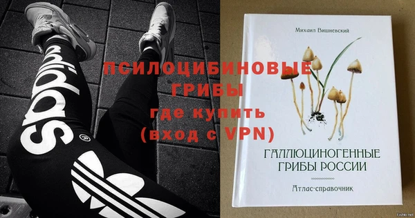 амф Богданович