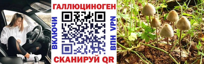 Галлюциногенные грибы GOLDEN TEACHER  кракен ONION  Нарьян-Мар 